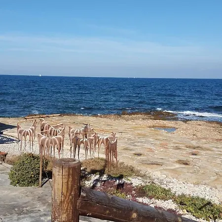 公寓 Playa Sol Mediterranea-serviden